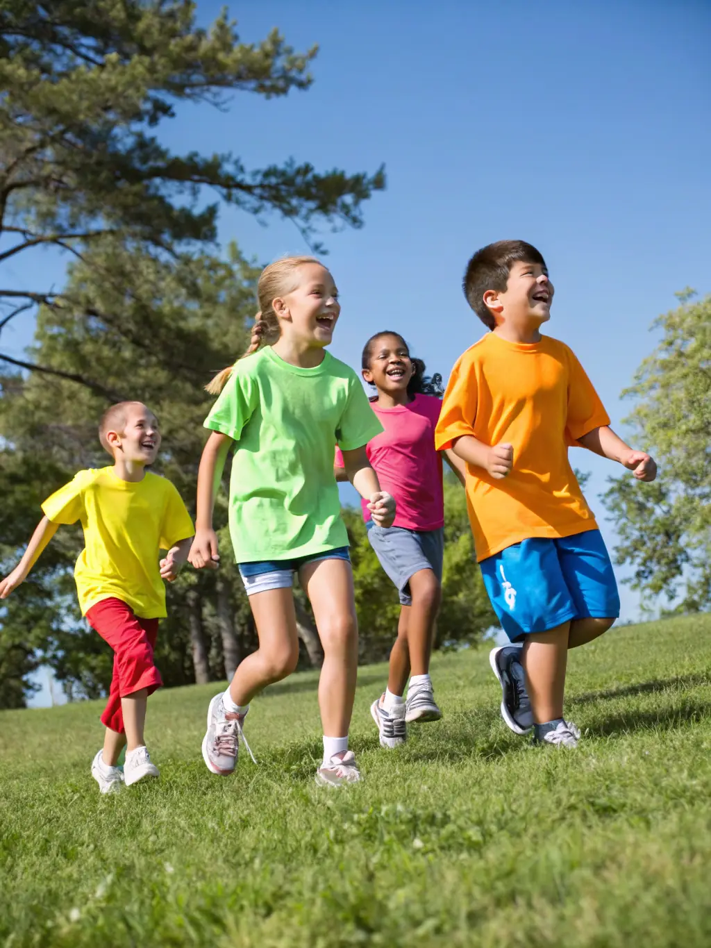 An image showing a group of children participating in an outdoor recreational activity organized by A.V.L., with smiling faces and enthusiastic engagement.